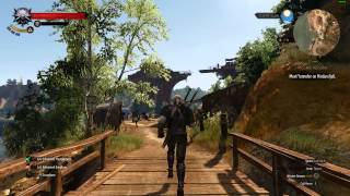 The Witcher 3 FPS Benchmark - Asus ROG G750JM - GTX 860m - i7 4700HQ