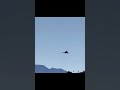 F117 SHORTS