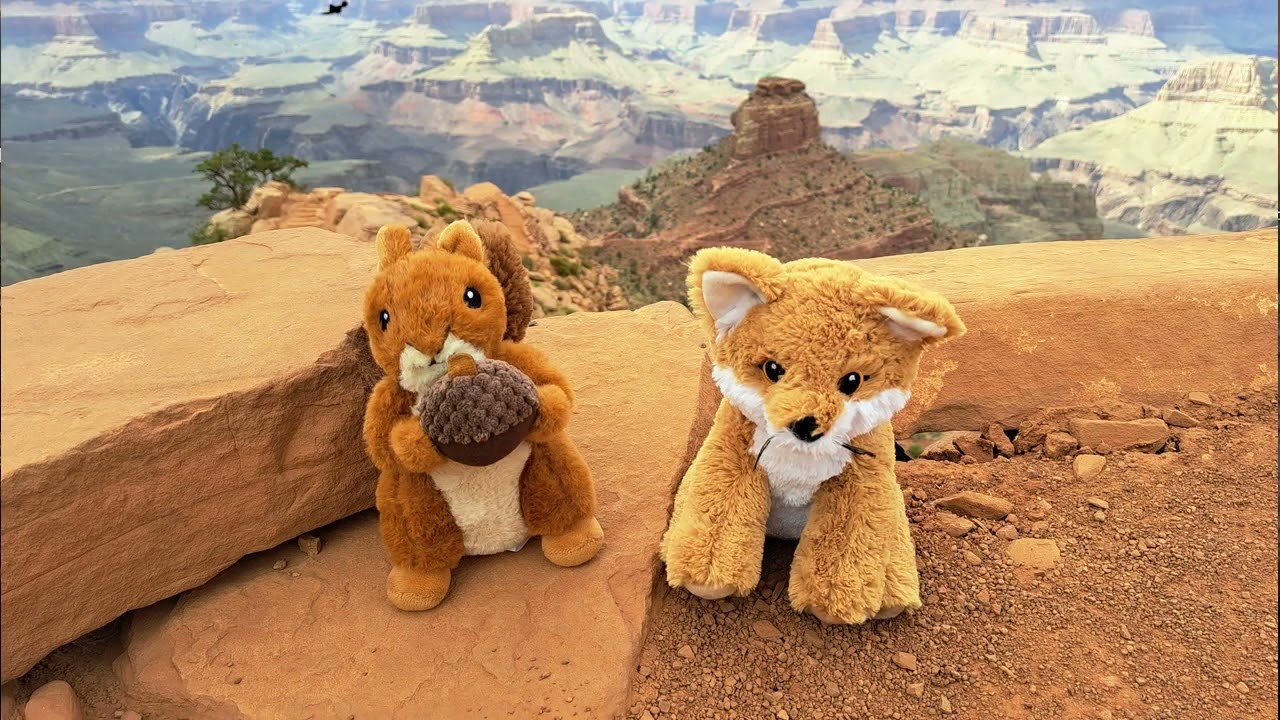 German Hörnchen und American Coyote USA2025