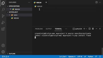 How to use Python Virtual env and Environment variables on Linux/macOS.