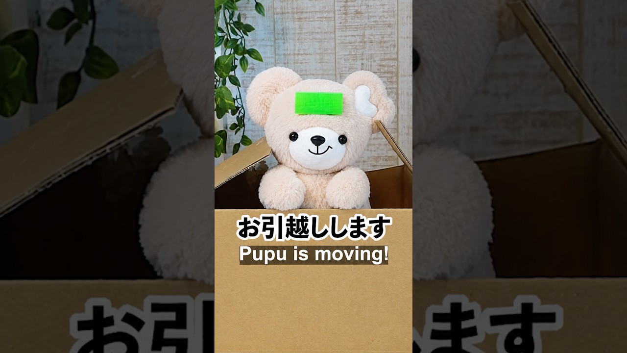 ぬいぐるみがひとりでお引越し