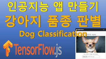 #5: 내가 만든 모델로 강아지 품종 판별 앱 만들기 + 고양이 품종 판별 기능 추가 가능 (Tensorflow.js, 인공지능, 머신러닝, 텐서플로우)