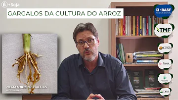 Como é preservada a cultura do cultivo de arroz no Sudeste Asiático?