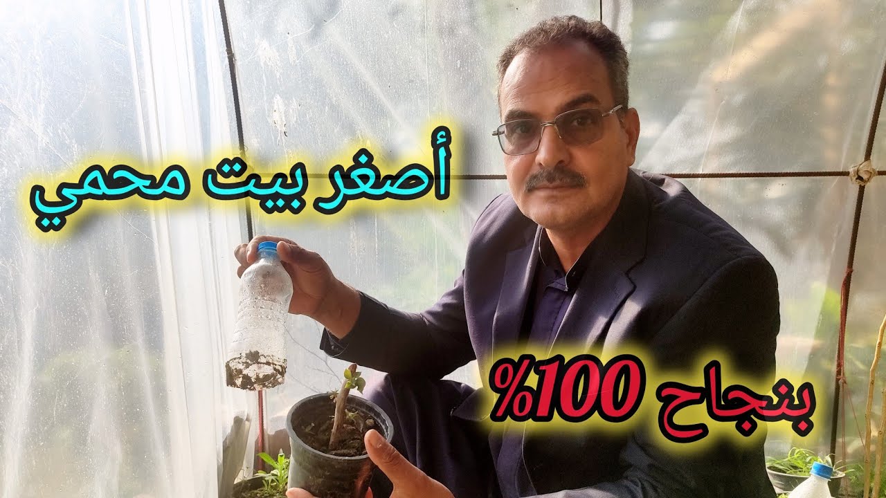 الزراعة بأصغر بيت محمي وبنسبة نجاح تقريباً 100% ازرع اقلام النباتات ببساطة شاهدوا الفيديو