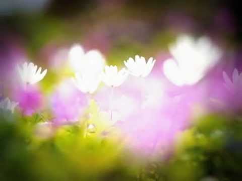 Yuki No Hana Instrumental Piano Eric Chen