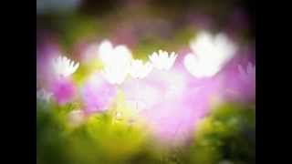 Yuki No Hana (Instrumental-Piano) - Eric Chen