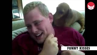16 Funny Pets Video Compilation 2016