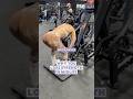 Suddenly Losing Strength In Midlife Watch This Suddenly Losing Strength In Midlife Watch This