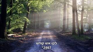 הרב רונן חזיזה בשיר מרגש ומחזק "בכל צער וצער"