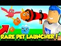 The DEVELOPER Gave Me A PET LAUNCHER In Popcorn Simulator And It Was INSANE!! (Roblox)