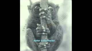 Barker &amp; Baumecker - The Hole