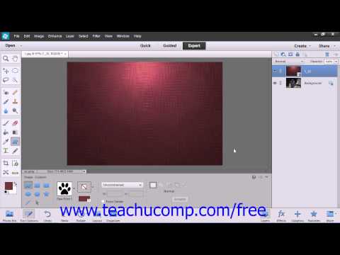 Photoshop Elements 12 Tutorial Raster vs. Vector Adobe Training Lesson 12.1