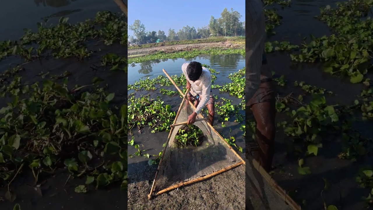 When the water drops, the fun begins 