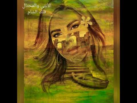 الأنثى والمحتال رحلة أنثى عربية في دروب تجربة إنسانية فريدة تتأمل فيها وجه الدنيا 