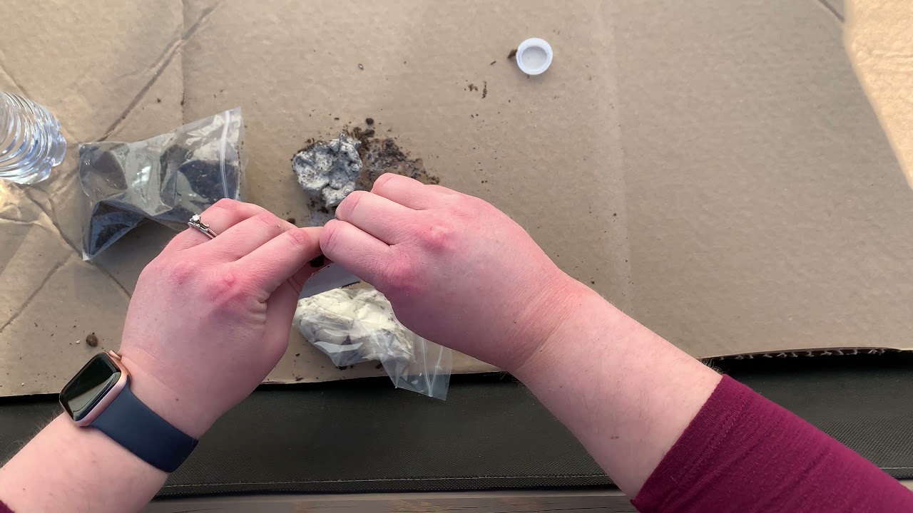 Making a Flower Bomb (with Raychelle) - YouTube