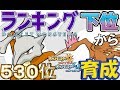 【ポケモンUSUM】ランキング下位から育成6 ガラガラ・オニドリル【530位~】