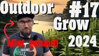 Cannabisanbau Outdoor Grow 2024: Missgeschick beim LST, Automatik-Update und Top Dressing | EP 17