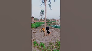 Transaction Funny video 🤣🤣🤣#shorts #viral #trending #shortfeed