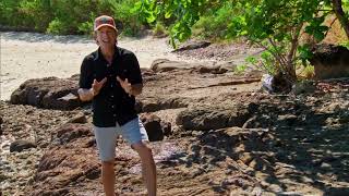 Survivor 50 Sia Fan Promo AD 4K