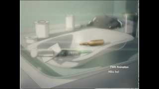 "Katawa Shoujo" The First 4 Minutes