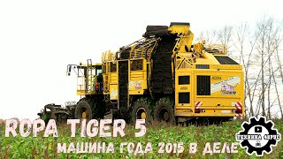 Свеклоуборочный комбайн Ropa Tiger 5 - машина года 2015 Сахарная свёкла Елецкого района Сезон 2021