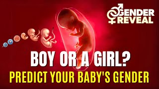 Is It a Boy or a Girl? Predict Your Baby's Gender | Decoding Baby's Gender the Science of gender