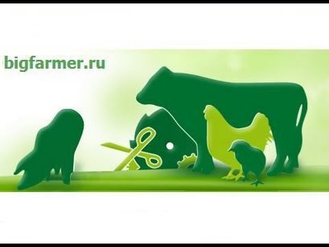 бигфармер. бигфармер. бигфармер. маркер для маркировки животных. автоматическая поилка для птиц.