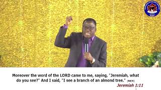 What do you see ? Jeremiah 1:11 - Rev Nicholas Awuah-Sarpong
