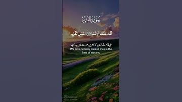 والتين والزيتون #روائع_التلاوة #قران_كريم #راحة_نفسية #قران