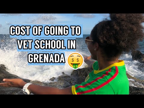 cost-of-going-to-school-in-the-caribbean-|-sgu-vet-school