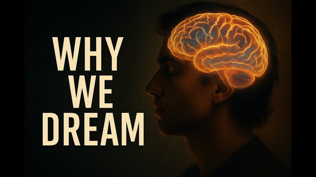 Why Your Brain Creates Crazy DREAMS Every Night | The Science Pulse