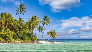 Minimal Vibes & Bossa Nova 🌴 Jazz for a Relaxation with Ocean Sounds and Deep Focus