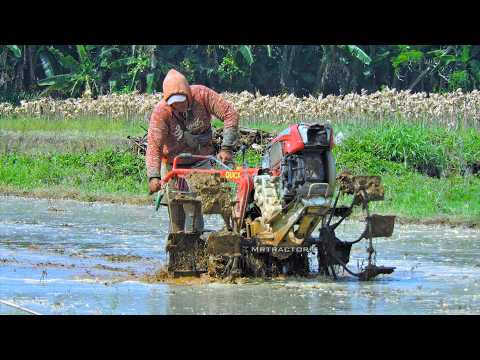 Walking Tractor Rotary Tiller with Leveler Wood Processing Watered Land for Rice Plantation