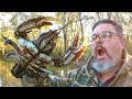 Catching MONSTER Crayfish And Murray Cod With A Secret Crayfish Bait