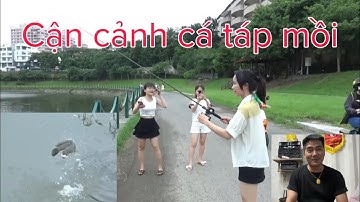 Review video người bạn indonesia câu cá lóc. Cực kỳ đã mắt.