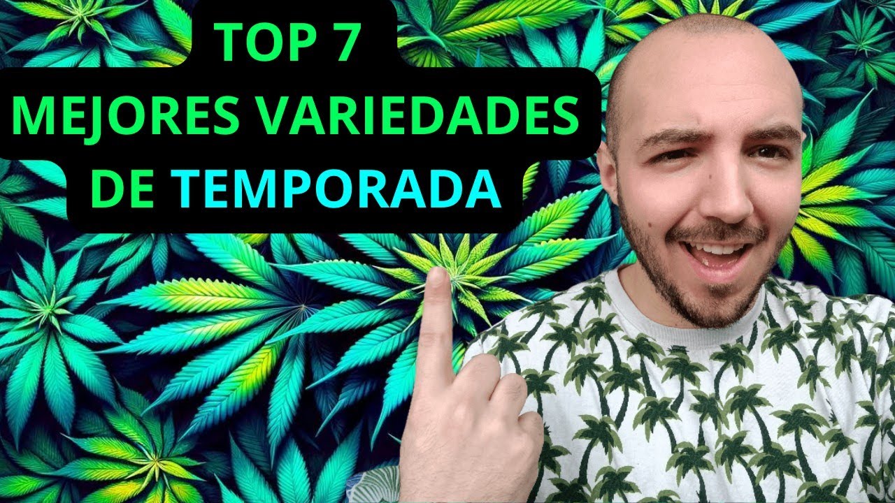 Mi TOP 7 MEJORES PLANTAS de CANNABIS para EXTERIOR