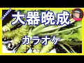 大器晩成  島津亜矢 カラオケ  With Romaji KARAOKE