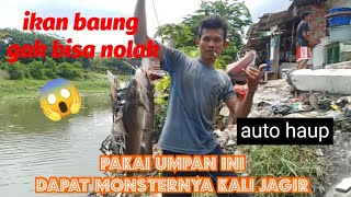 mancing liar di kali jagir surabaya