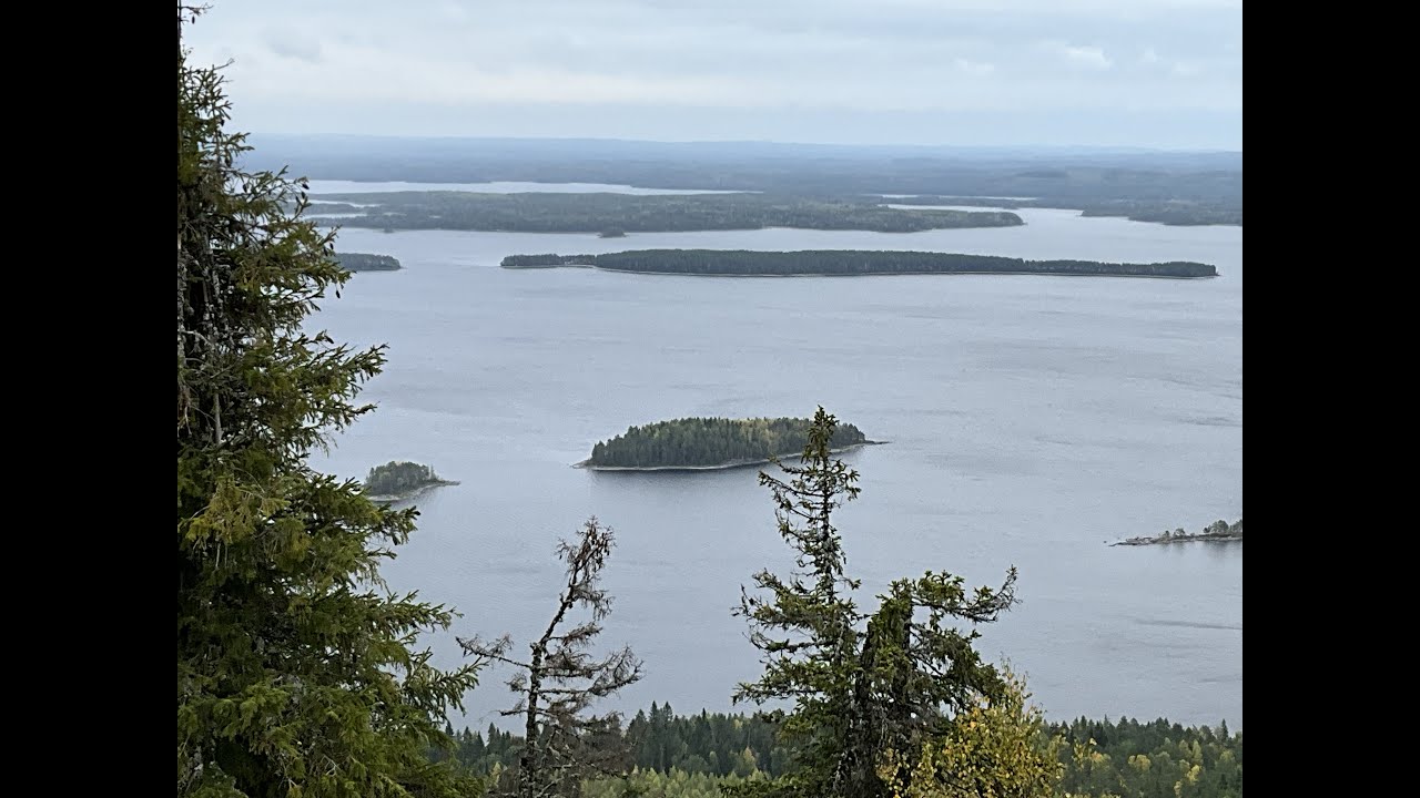 Relaxing Iranian Kurdish Violin Music for Study, Focus & Meditation – Mojtaba Mirzadeh
