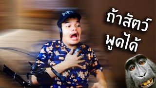 จินตนาการถ้าสัตว์พูดได้ ? | นั่งบ่น