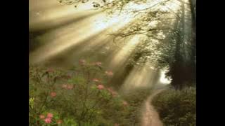 Ennio Morricone-chi mai