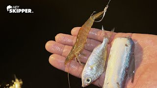 Fishing w/ RANDOM Things I Catch in My Net! (Shrimp, Cutbait + Live Fish)