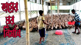 ১৩০০ স্কয়ার ফিট হাঁসের ঘর নির্মাণ করতে আয় ব্যয় হিসাব l কি ভাবে হাঁসের ঘর নির্মাণ করবেন l