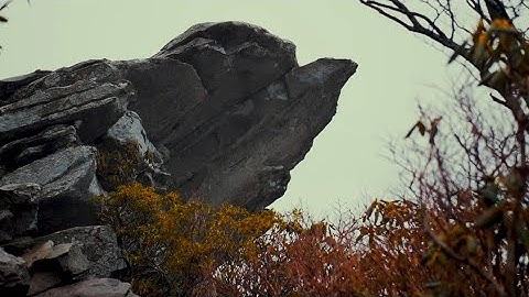 North Carolina | Rough Ridge | Panasonic Lumix G7 | Zhiyun Crane M2 | Cinematic