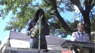 What's Your Pleasure? -The Greg Luttrell Band
