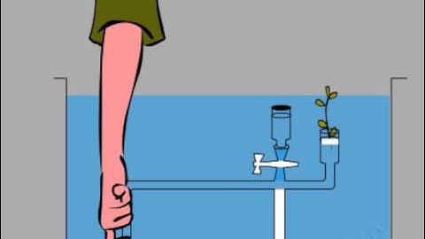 Factors affecting Transpiration