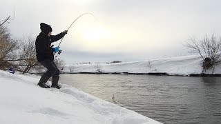 В этой яме СТОЛЬКО РЫБЫ!!!//Щуки почти на каждом забросе!! Зимний спиннинг на малой реке