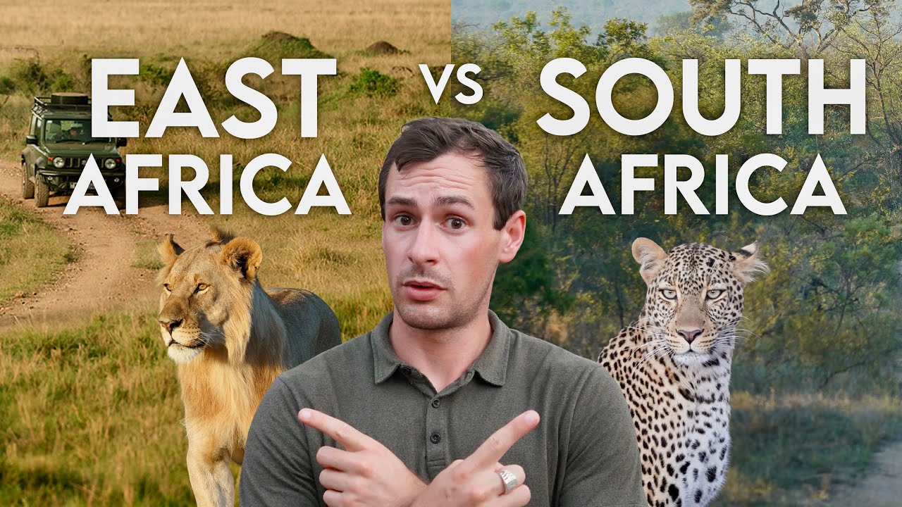 ⁣East Africa vs South Africa: Which Safari is Right for You?