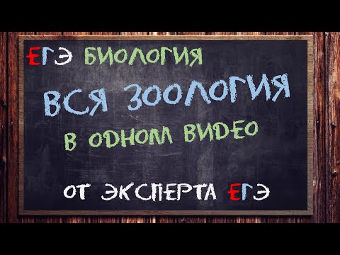 Вся зоология ЕГЭ тут от эксперта ЕГЭ | Биология ЕГЭ