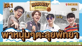 [OFFICIAL] THE HARVEST SEASON @PATTAYA EP1 | Studio Wabi Sabi